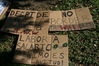 Filename=DPP_0164.JPG
Filesize=214KB
Dimensions=450x300
Date added=Mar 29, 2009 DPP_0164.JPG