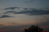 _MG_5473.JPG