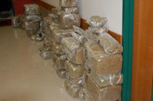 544 lbs of marijuana 06-17-09