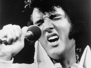 elvis